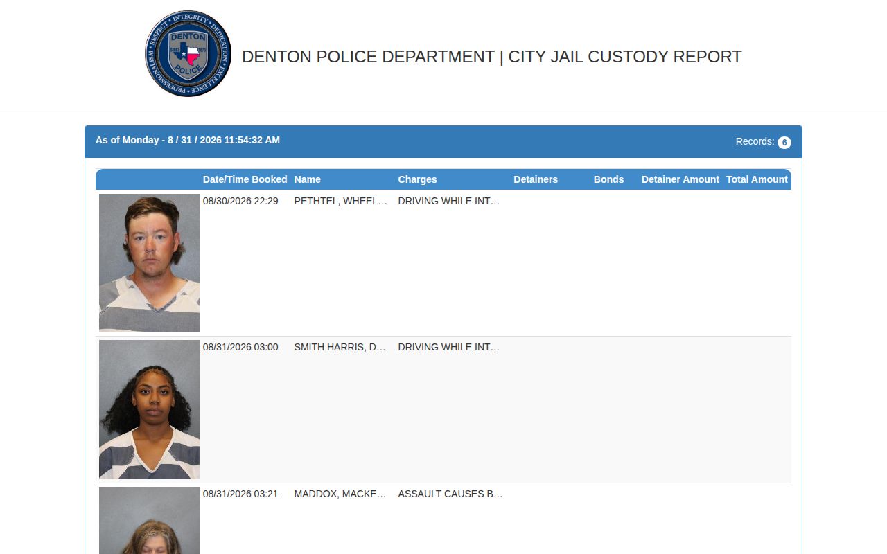 Denton County City Jail current custody record interface
